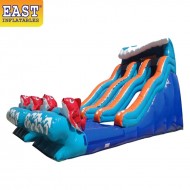 Toboggan Aquatique Big Kahuna À Double Voie Toboggan Aquatique Big Kahuna À Double Voie