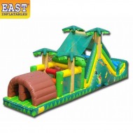 Parcours D'obstacles Tropicaux D'arrière-cour Parcours D'obstacles Tropicaux D'arrière-cour