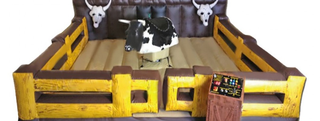 Rapport d'analyse du marché du Taureau Mécanique en France Rapport d'analyse du marché du Taureau Mécanique en France