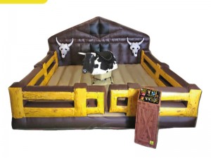 Rapport d'analyse du marché du Taureau Mécanique en France