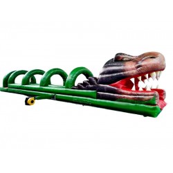 Ventriglisse Dinosaure Ventriglisse Dinosaure