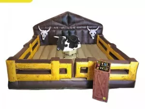 Rapport d'analyse du marché du Taureau Mécanique en France