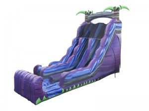 Combien coûte un toboggan aquatique gonflable ?