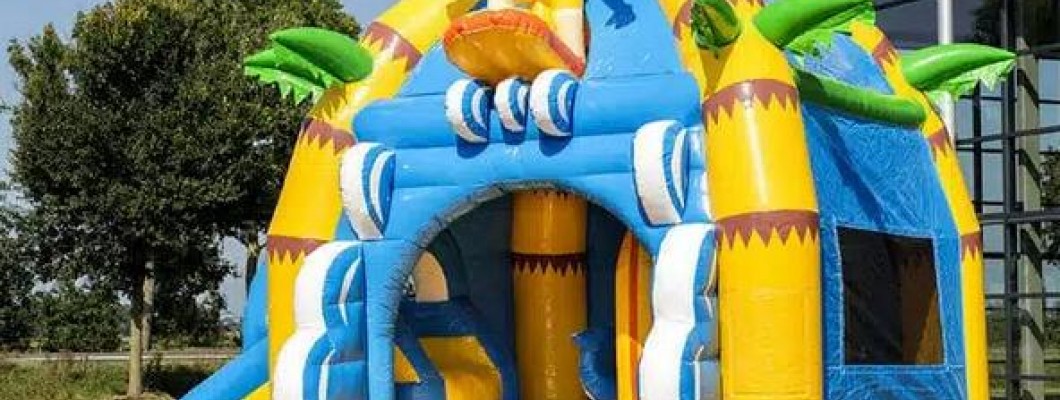 Pourquoi la Location de Châteaux Gonflables en France est-elle Si Lucrative? Pourquoi la Location de Châteaux Gonflables en France est-elle Si Lucrative?