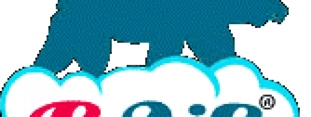 Présentation de B-Air Présentation de B-Air